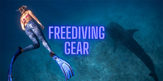 Freediving Gear at The Scuba Doctor Freediving Gear at The Scuba Doctor